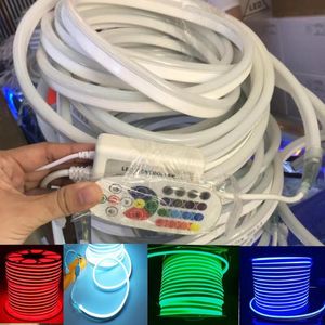 스트립 LED RGB 네온 라이트 스트립 방수 IP68 로프 램프 디머 스위치 IR 24Key 원격 EU/UK/AU/USLED 스트립