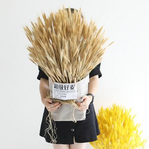 Ghirlande di fiori decorativi 100pcs Bouquet di spighe di grano di fiori secchi naturali per decorazioni di nozze per matrimoni Decorazioni natalizie artigianali fai-da-te per la stanza di casa 230313