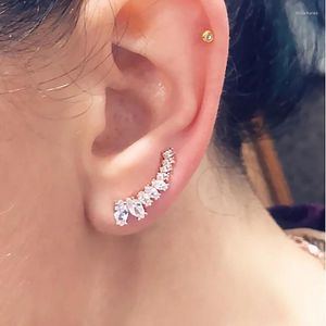 Stud Earrings Double Fair CZ Stone Wing Style Rose Gold/White Gold Color Tone Fashion Cubic Zirconia Jewelry For Women DWE791M