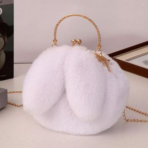 Borse da sera Borsa a tracolla singola in peluche carina Crossbody Peluche giapponese Zaino da scuola per donne Regalo per fidanzata