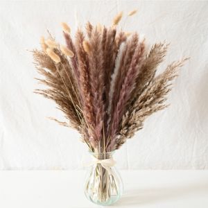 Decorative Flowers Wreaths Boho Home Decor Bouquet Natural Dried Reed Pampa Grass Bouquet Phragmites Dried Flowers Wedding Arrangement Party Decoration 230313