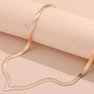 Chains Gold Colour Alloy Necklace For Women Thin Fish Cale Letter V Snake Bone Fashion Trend Jewelry Accessories Neck Choker