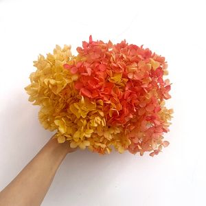 Flores decorativas grinaldas preservadas pequenas hidrânguas de folhas multicolor Anna Eternal Hydrangea Wedding Wedding Indoor Home Shop Decor Real Flor Floral Material Diy 230313