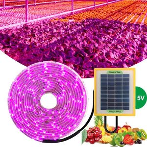 성장 조명 LED 전체 스펙트럼 램프 USB 5V 5W 라이트 스트립 1m 2m 3m 5m SMD 2835 식물 꽃 온실 재배 수경 론적