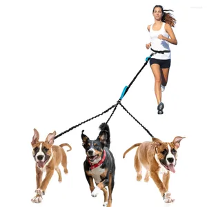 Hundhalsar 2/3 Vägskontakt Pet Walking Leash 60 tum lång flätad nylonfjäder dubbel för midjesport