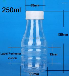 Vorratsflaschen (100 Stück/Packung), 250 ml, transparente PET-Milchflasche, Fruchtsaft, Joghurt, Kunststoff in Lebensmittelqualität