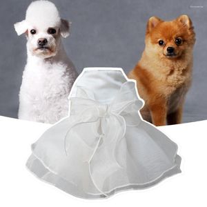 Hundkläder prinsessan klänning sommarkläder husdjur bröllop spets bow-knot fest klänning elegant liten vit