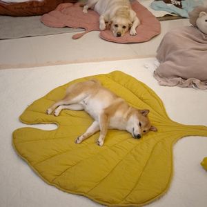 その他の猫の供給葉の形状ソフト犬ベッドマットクレートパッド大きな中程度の小さな犬とS犬小屋230314のための洗濯洗えるマットレス