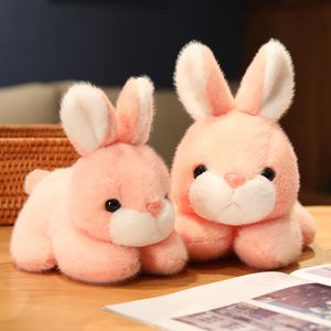 Pasqua Nuovo cartone animato Simulazione della bambola di coniglio della bambola di coniglio Regalo di compleanno Ornamenti decorativi di peluche