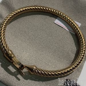 Bracelets de Noël Designer pour femmes Street Classic Twisted Helix Cable Aesthetic Wireaux Designers de bijoux Simplicité Luxury Men Bracelet Homme ZB026 F23