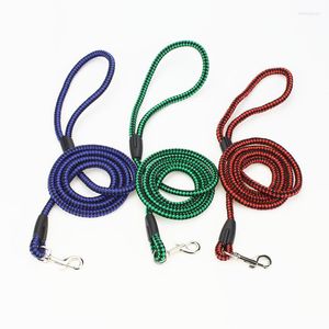 Dog Collars est leashes strong nylon Collar Leads Colorful Style Small Cats Puppy Chihuahuaを使用