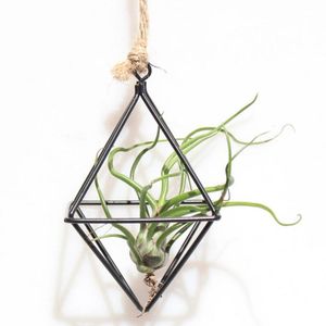 Trädgård levererar andra hängande Tillandsia Air Plants Rack Metal Geometric Iron Art Flower Pot Gardening Home Office Decor