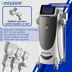 360 Cryolipolysis Fat Freeze Machine Macchina dimagrante 4 Cryo maniglie Body Sculpting Weight Loss Beauty Equipment