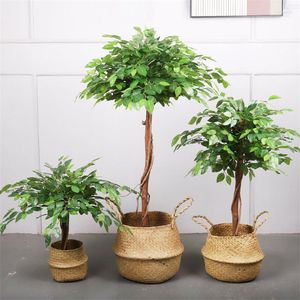 Decorative Flowers Simulation Banyan Mini Small Green Plant Potted Indoor And Outdoor Engineering Landscape Decoration