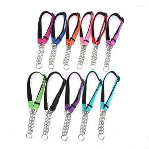 Collari per cani Collare Martingale a catena in acciaio inossidabile - Tessuto in nylon riflettente per cani di taglia piccola e media