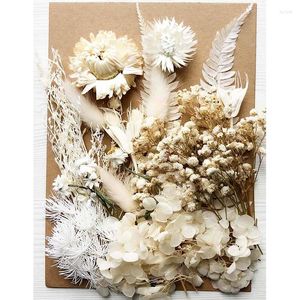 Decorative Flowers DIY Dried And Eternal Making Natural Flower For Art Jewelry Craft Resin Casting Mold Gifts Accessories