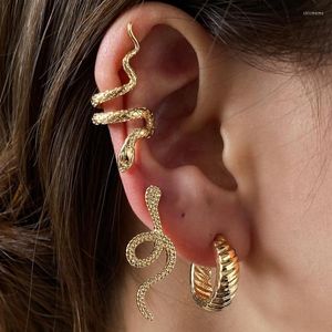 Серьги с серьгами 3pcs/ Set Snake Searing Clips без пирсинга панка без пирсинговых ушных манжеты для женщин Мужчины фальшивые украшения бохо