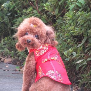 ペット服クリエイティブスプリングドッグアパレルタンスーツお祝い服犬猫屋外射撃小道具