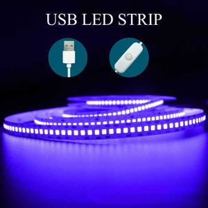 LED Strips 5V LED Strip Light USB with Switch 1M 2M 3M 5M Room Decoration Not Waterproof Tape for TV Backlight Ribbon P230315