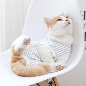 Trajes de gatos 1pcs coletes de enfermagem após cuidados Evite lamber e morder listras respiráveis ​​roupas de animais de estimação jardim de produtos para casa