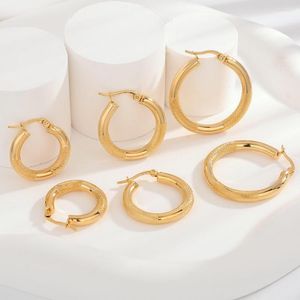 Hoop Earrings 18K Gold Plated Stainless Steel Rounded Tube Jewelry