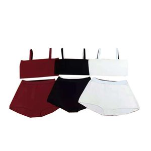 Tube Top Underwear Womens Bikini Textil Sexig hög midja Dam underkläder Set utomhusresor Kvinnor BH underkläder280x