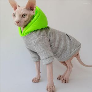 Kattdräkter wmxz sphynx hårlösa dekor accessoarer kläder husdjur huva bomull plysch varm tröja hösten vinterjacka hund jumpsuit päls