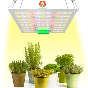 Lampada per coltivazione a LED per piante da interno, 60W 85W 120W Luce solare a spettro completo per la coltivazione per la semina di piante grasse Veg Flower, Kit per appendere lampade per coltivazione in serra