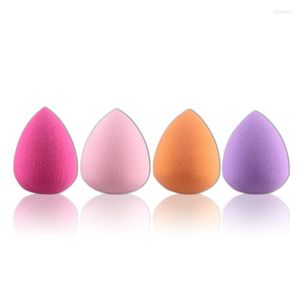 Makeup Sponges Sponge 4PCS/Pack Beauty Foundation Buffer Puff Set Dry And Wet Powder