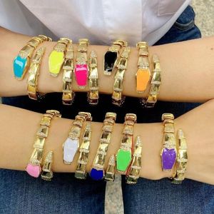 Pulseira 3pcs Hip Hop Animal em forma de pulseira Bangles Bangles Metal esmalte o charme CZ para homens jóias pulseras mujer bijoux femme