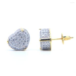 Studörhängen toppkvalitet äkta gnistrande guld silver färg Micro Pave Cubic Zirconia CZ Heart Shape Hip Hop Women Screw Back Earring