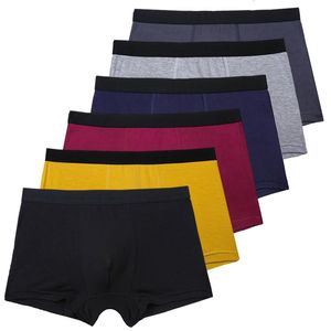 Underbyxor 6pcsset Black Boxer Men Underbyxor Bambu Mens Boxers Man Breattable Mens trosor Sexiga underkläder för män gåvor 230317