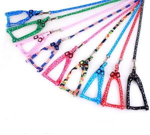 Hundhalsar 100st Nylon Leashes Pet Pet Puppy Training Straps For Small Dogs Cat Strap Wholesale