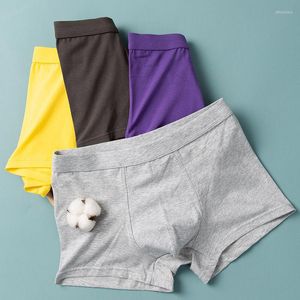 Unterhosen Baumwolle Solide Einfacher Stil Mode Yong Man Boxer Atmungsaktiv Hohe Elastizität U-Beutel Weiche Unterwäsche