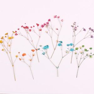 Dekorative Blumenkränze, 1 Beutel, Gypsophila, getrocknete Blumen, gepresstes, geprägtes natürliches Epoxidharz-Handyhüllenmaterial