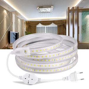 Tiras LED Luces de tira LED de 220 V 5050 Cinta LED impermeable Alto brillo Cocina flexible Luz LED para jardín al aire libre con interruptor de enchufe P230315