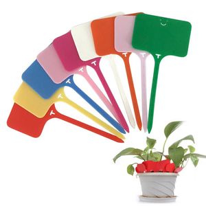 Forniture da giardino 100 pezzi marcatori per piante tipo T etichetta per vaso fioriera etichette colorate addensate per verdure etichetta in plastica impermeabile altro