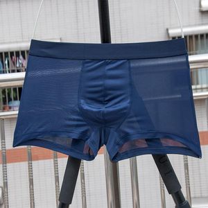 Underpants Transparent Men's Boxers Bulge Ice Silk See Through Sexy Men Underwear Low Waist Panties Lingerie Intimates