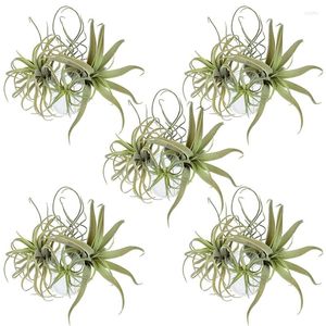 Decorative Flowers 20Pack Artificial Pineapple Grass Air Plants Fake Faux Flocking Tillandsia Bromeliads Home Garden Decor