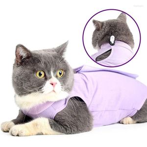 Cat Costumes 9 PCS Professionell återhämtning för buksår eller hudsjukdomar som är andningsbara efter slits husdjur grossist x2