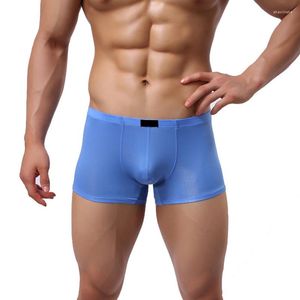 MUITOPANTES Promoção de lingerie sexy masculino de seda fino boxeador transparente cueca fetiche pornô pornô gay gay plus size calcinha xxxl