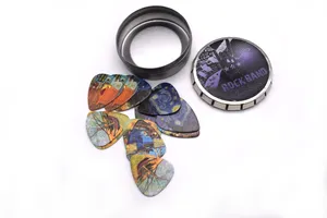 12pcs 0.71mm Packed Guitar Picks Two Side World Famous Painting Musical Plectrums Great Tin Box