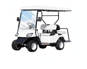Wholesale High Quality Golf Carts New Energy Vehicles Leisure Electric Beach Off-Road Vehicles Strong Power
