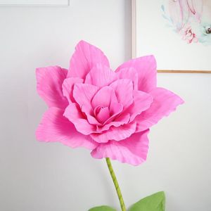 Декоративные цветы пеня пена гигантская роза Роуз