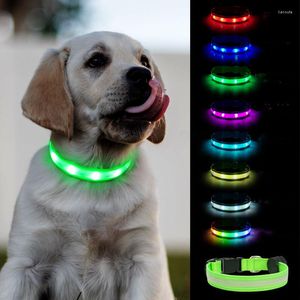 Hundhalsar Pet Traction Collar IPX7 Vattentät LED USB -laddning Justerbara nylonsele -serier Reflekterande förnödenheter