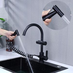 キッチンの蛇口には噴霧器のシャワーがあり、黒い蛇口と冷たい水が流れています