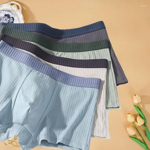 UNDUPTS 3 PC/Lot Erkekler Pamuk Stripe Boxer Seksi iç çamaşırı erkek iç çamaşırı şort külotları külot artı boyutu l-4xl