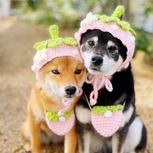 Hundkläder ins husdjur jordgubbshatt handgjorda söt huvudbonad liten satchel shopping po props hattar för hundar