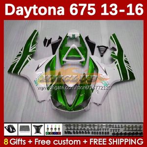 OEM Fairings Zestaw dla Daytona 675 675R 13 14 15 16 2013 2014 2015 2016 Moto BodyWorks 166NO.83 Daytona675 Body Daytona 675 R 2013-2016 Raircycle Fairing Green Akcje