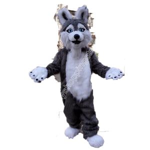 Costumi della mascotte del cane del husky di vendite calde Abito della mascotte della High School del vestito operato da tema del fumetto